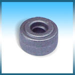 Worm Wheel